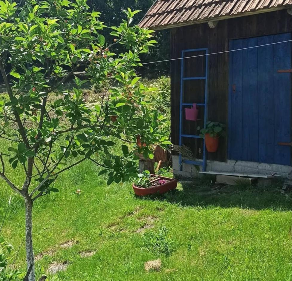 Apartamento Kuca Despot Kremna Exterior foto